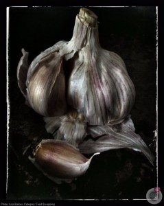 lab-photo-garlic-08-Feb-15
