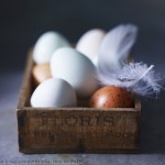 stuart_west_feather_and_eggs