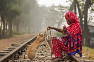 Person sat on a railway track giving cats food