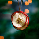Lisa Barber - Christmas Apple