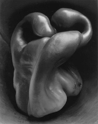 Pepper No. 30 (1930) by Edward Weston food photography