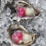lauren_lear_oysters